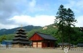 忠北法住寺 