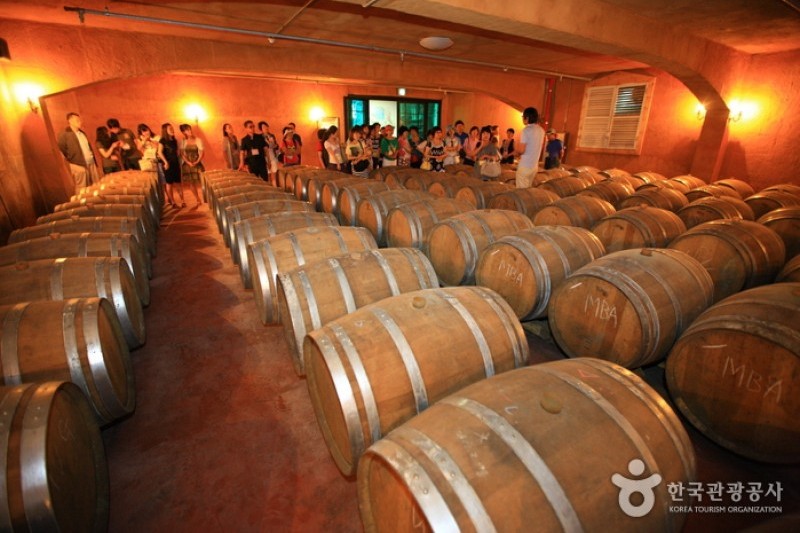 Wine Korea (5/13)