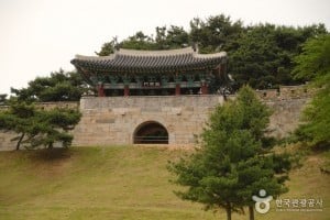 清州上黨山城