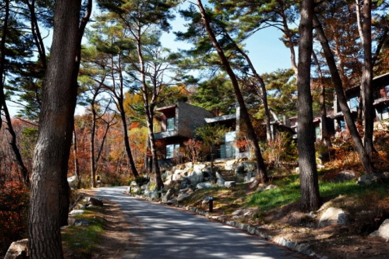RESOM森林渡假村