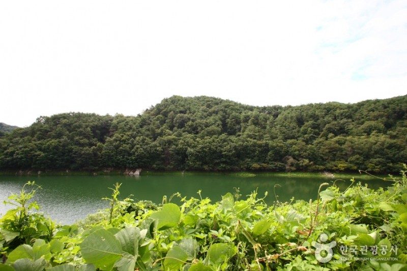 清風湖畔櫻花慶典 (1/3)