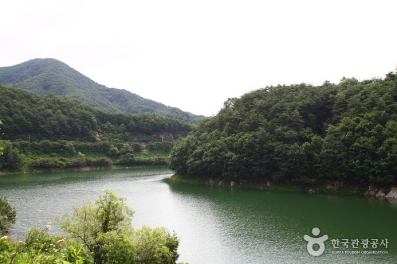 清風湖畔櫻花慶典 (2/3)
