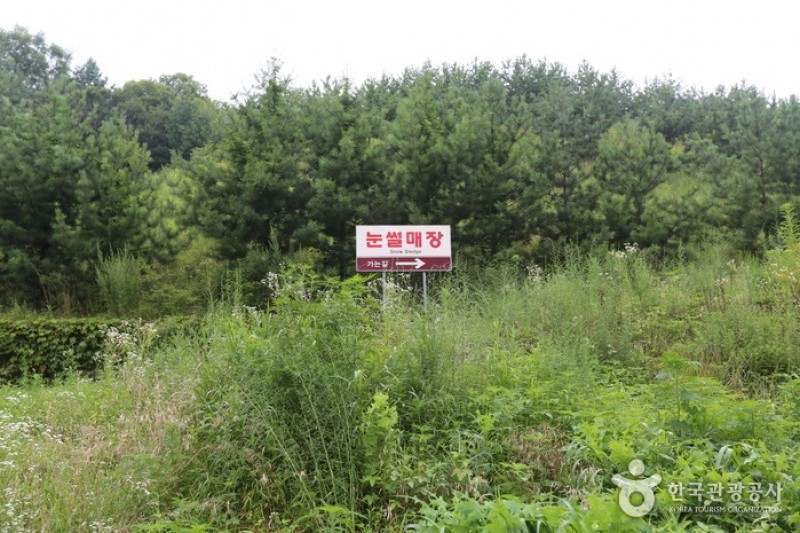 Eagle Valley滑雪渡假村