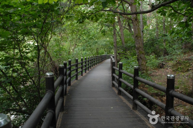 小白山國立公園 (5/6)