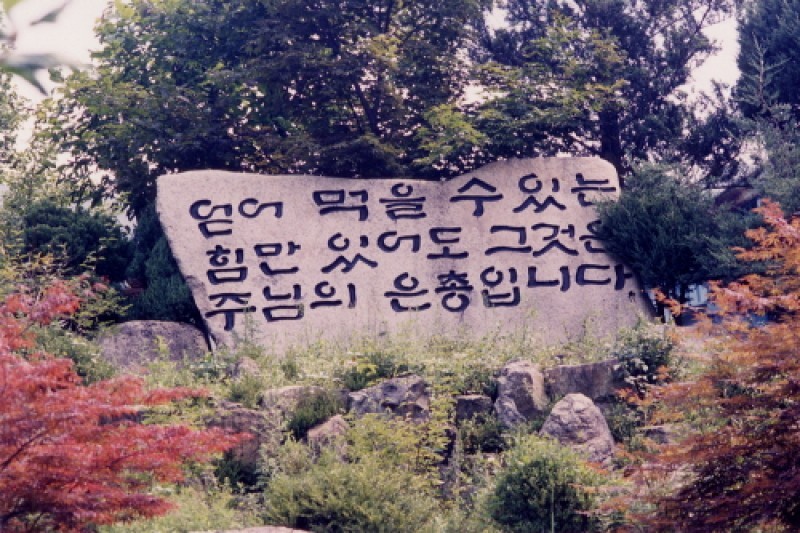 花村 (3/8)