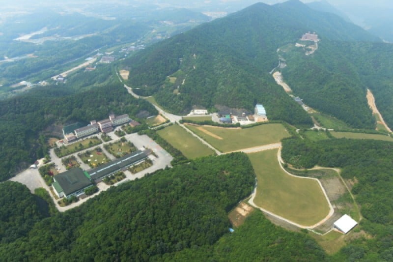 花村 (7/8)