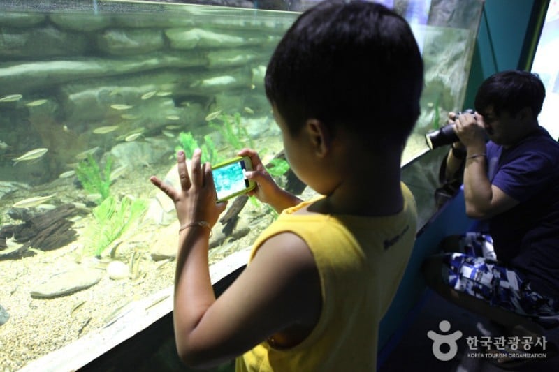 丹陽Danuri水族館 (2/9)