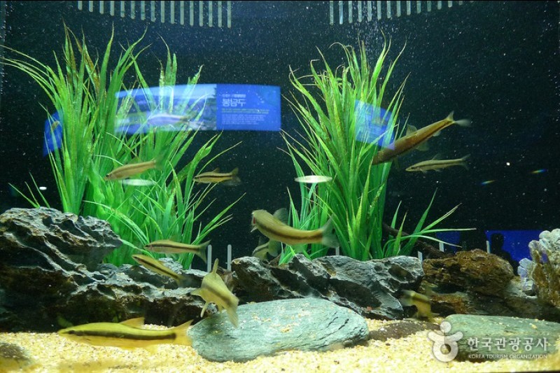 丹陽Danuri水族館 (4/9)