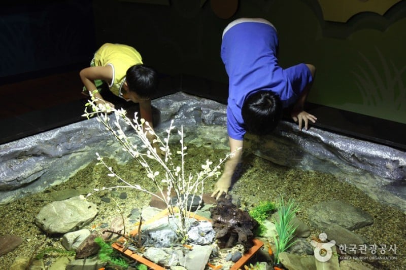 丹陽Danuri水族館 (7/9)