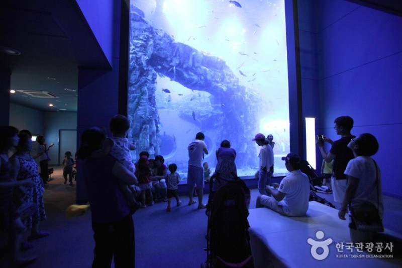 丹陽Danuri水族館 (8/9)