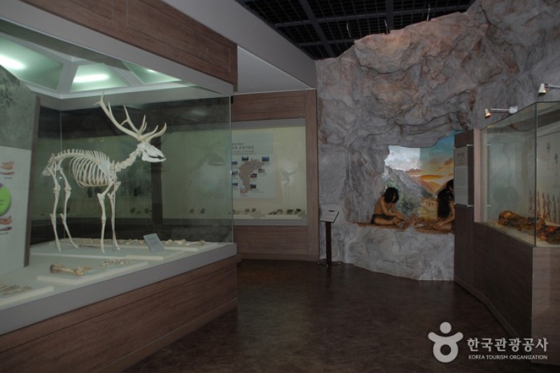 垂楊介先史文物展示館 (2/5)