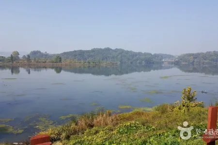 忠州彈琴台與彈琴台公園