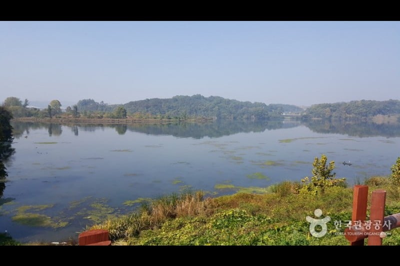 忠州彈琴臺與彈琴臺公園 (1/15)
