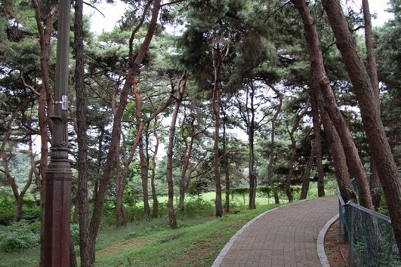 忠州彈琴臺與彈琴臺公園 (5/15)