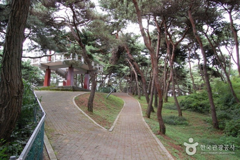 忠州彈琴臺與彈琴臺公園 (7/15)