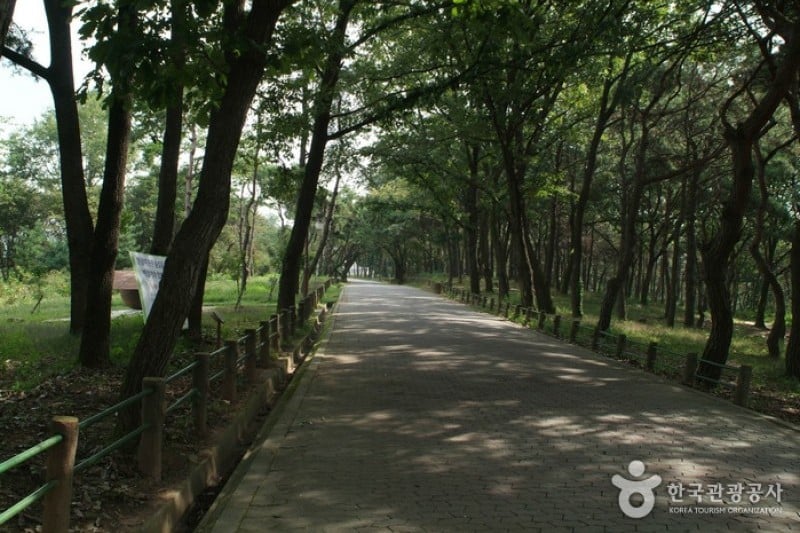 忠州彈琴臺與彈琴臺公園 (9/15)