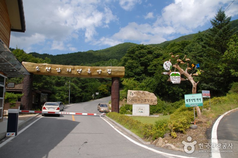 小仙岩自然修養林 (5/14)