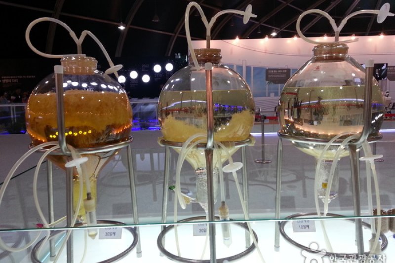 五松生物科技產業博覽會 (21/27)