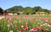 外巖民俗村