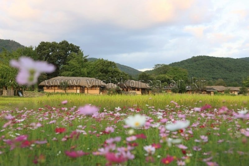 外巖民俗村 (4/60)