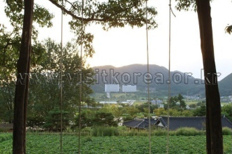 外巖民俗村 (8/60)