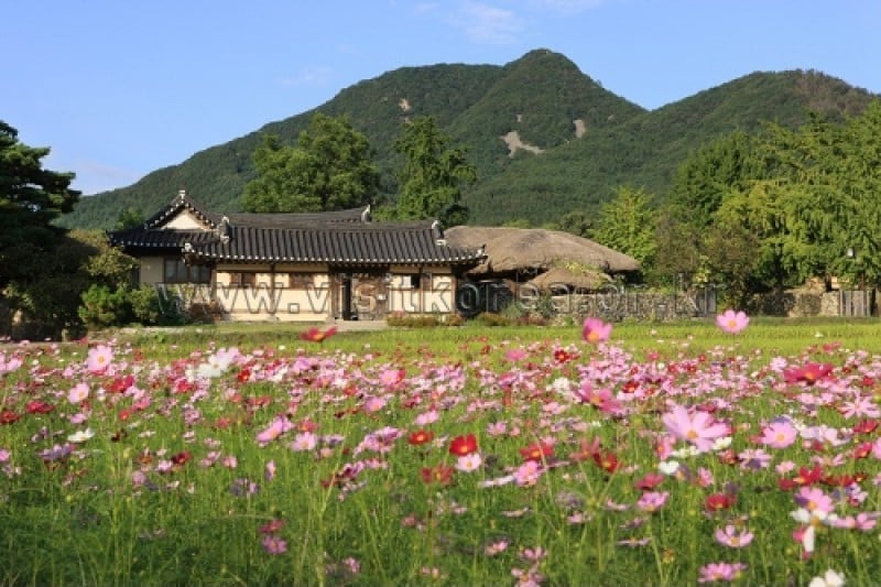 外巖民俗村 (45/60)