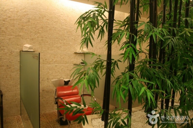 RESOM SPA Castle (3/14)