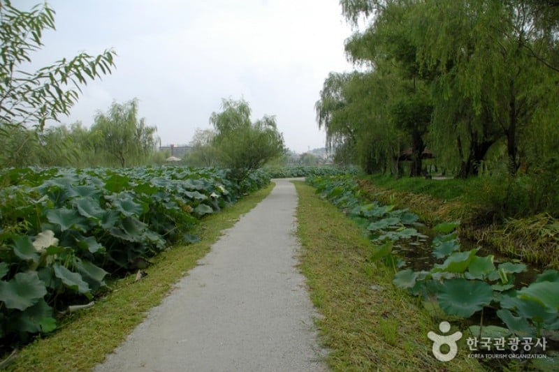 薯童公園與宮南池 (3/13)