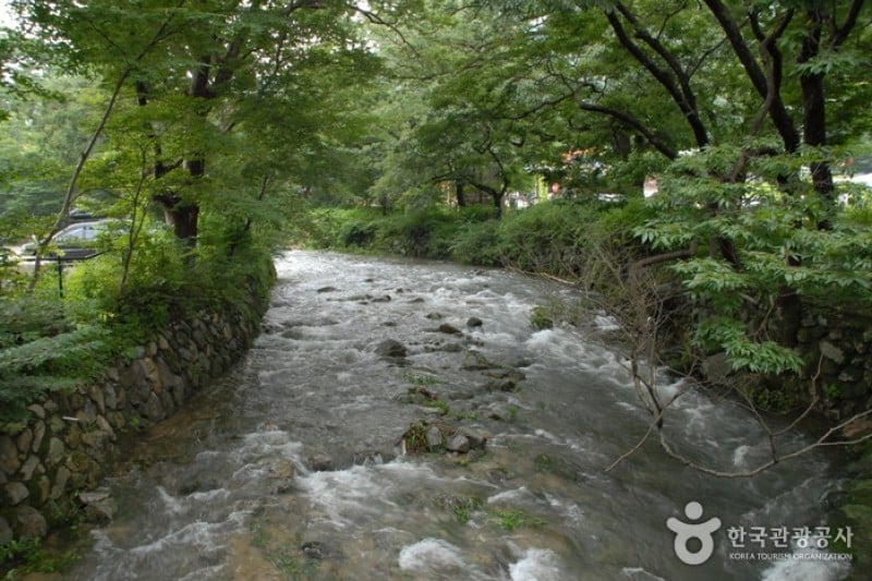 雞龍山國立公園 (5/11)
