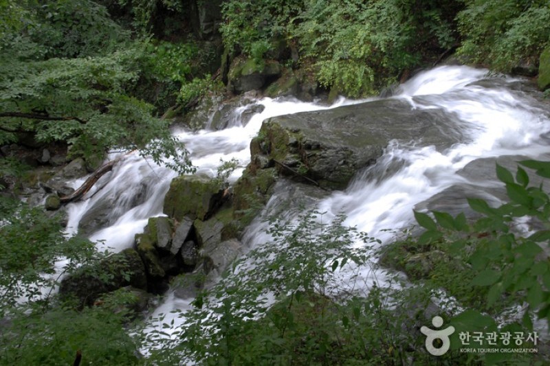 雞龍山國立公園 (6/11)