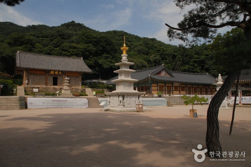 修德寺 (9/34)