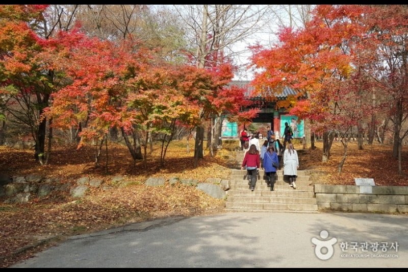 修德寺 (25/34)