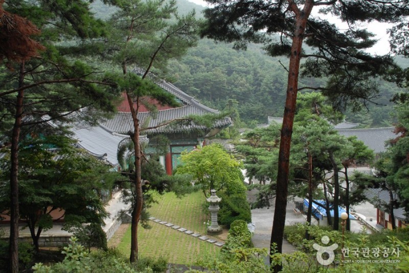 覺願寺 (4/11)