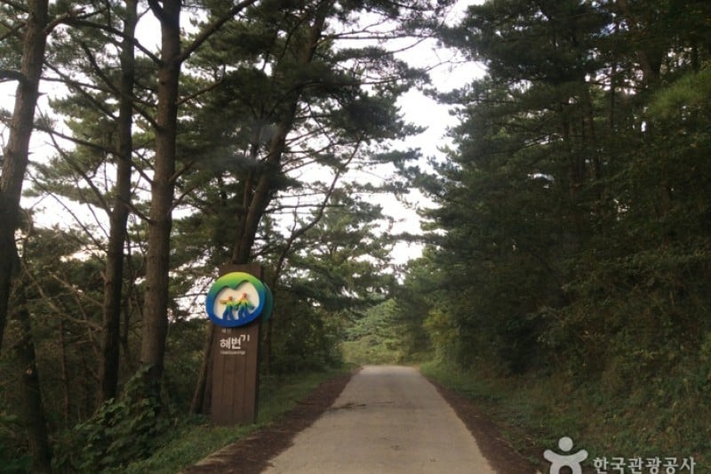 泰安海岸國立公園 (2/5)