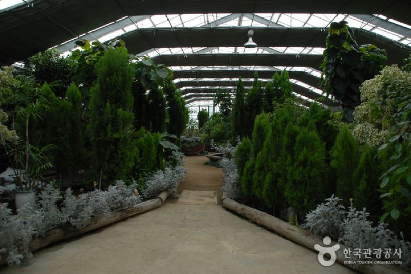 世界花卉植物園 (2/31)