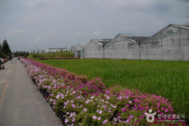 世界花卉植物園 (3/31)