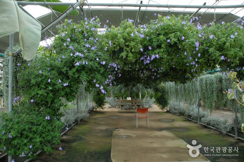 世界花卉植物園 (6/31)