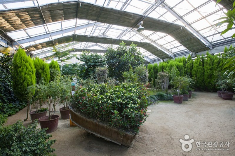 世界花卉植物園 (9/31)