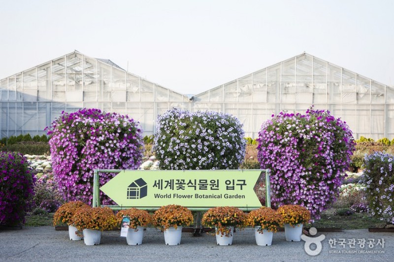世界花卉植物園 (12/31)