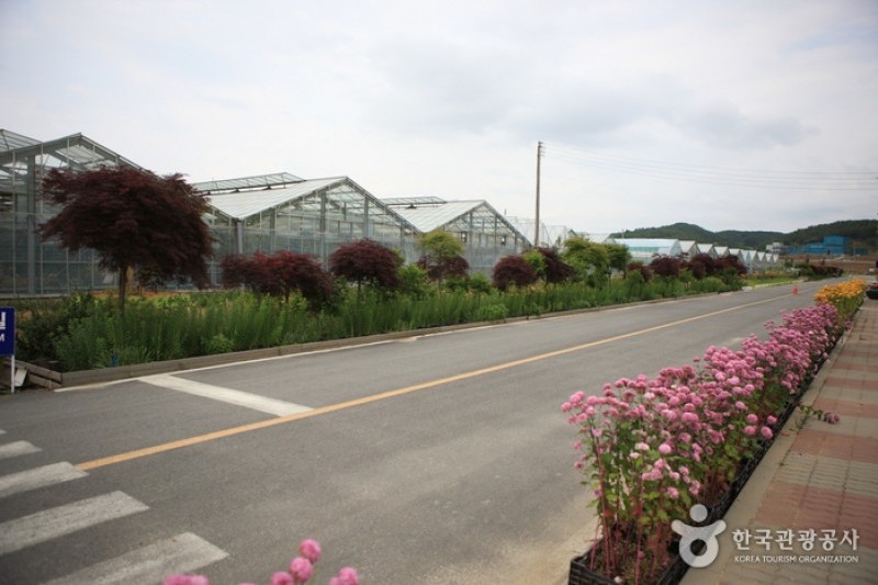 世界花卉植物園 (13/31)