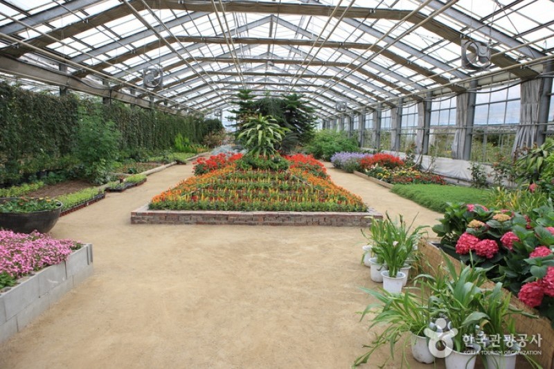 世界花卉植物園 (15/31)