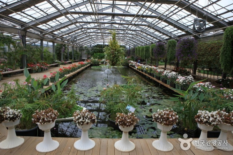 世界花卉植物園 (16/31)