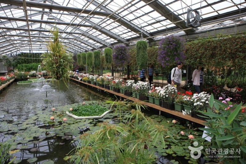 世界花卉植物園 (17/31)