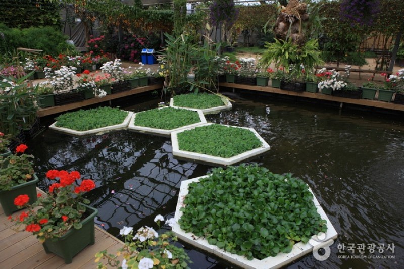 世界花卉植物園 (18/31)