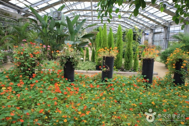 世界花卉植物園 (20/31)