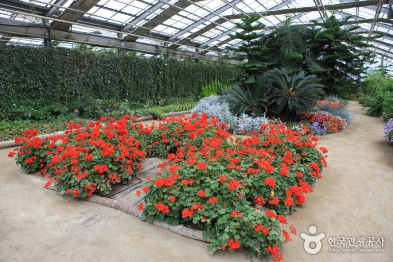 世界花卉植物園 (21/31)