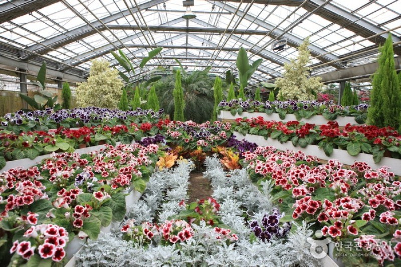 世界花卉植物園 (22/31)