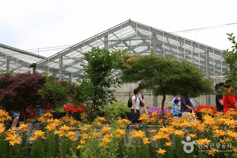世界花卉植物園 (24/31)