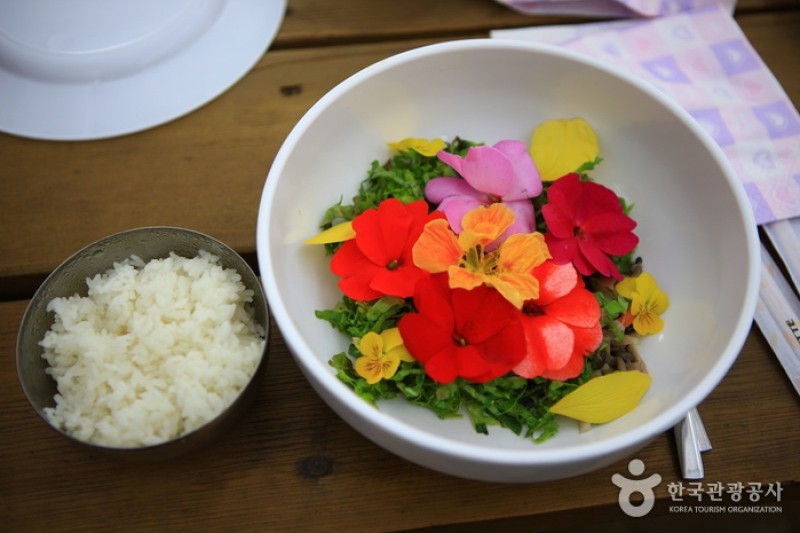 世界花卉植物園 (25/31)