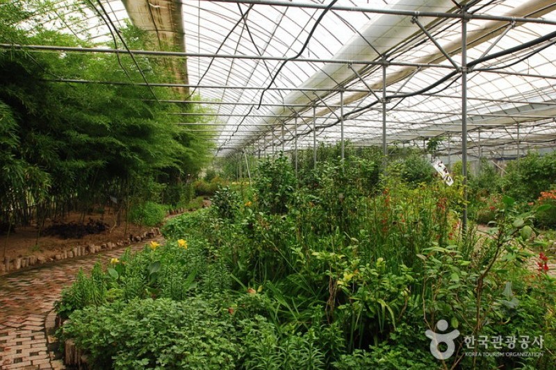 世界花卉植物園 (27/31)